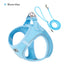 2-In-1 Harness & Leash Set