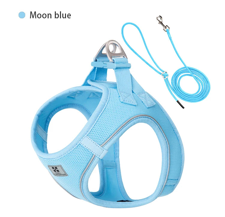 2-In-1 Harness & Leash Set