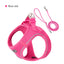 2-In-1 Harness & Leash Set