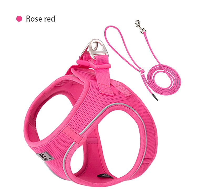 2-In-1 Harness & Leash Set