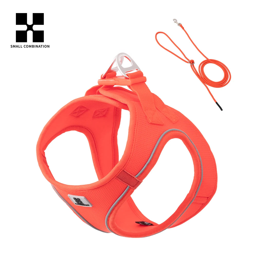 2-In-1 Harness & Leash Set