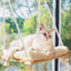 Cat Window Hammock Bed