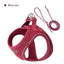 2-In-1 Harness & Leash Set