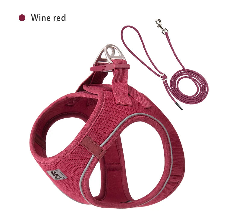 2-In-1 Harness & Leash Set