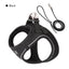2-In-1 Harness & Leash Set