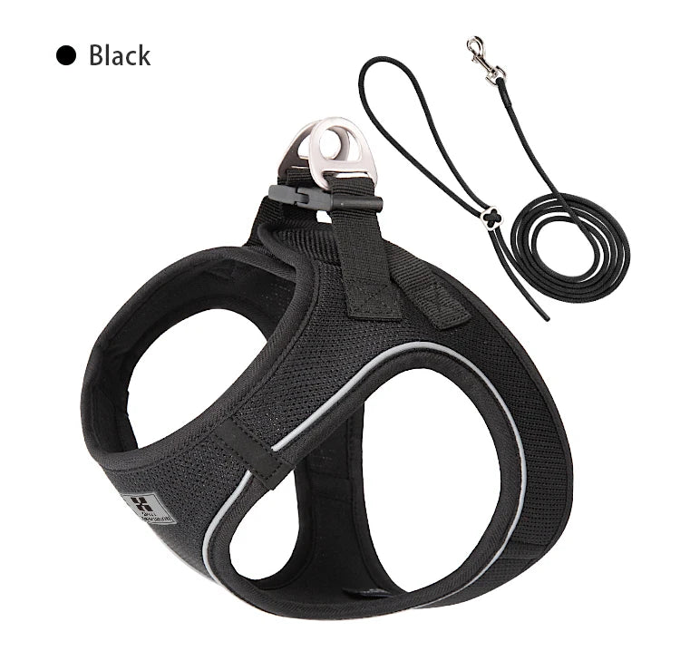 2-In-1 Harness & Leash Set