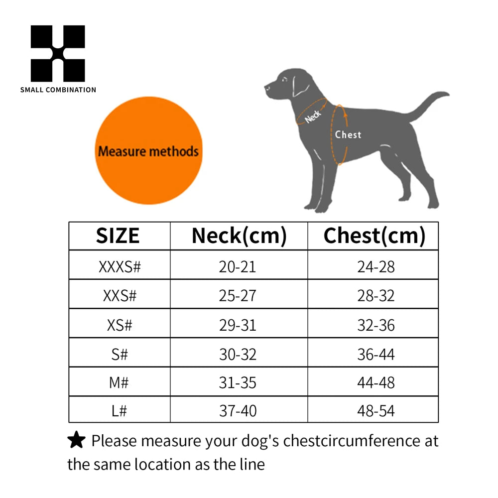 2-In-1 Harness & Leash Set