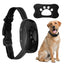 Rechargeable Anti Bark Collar