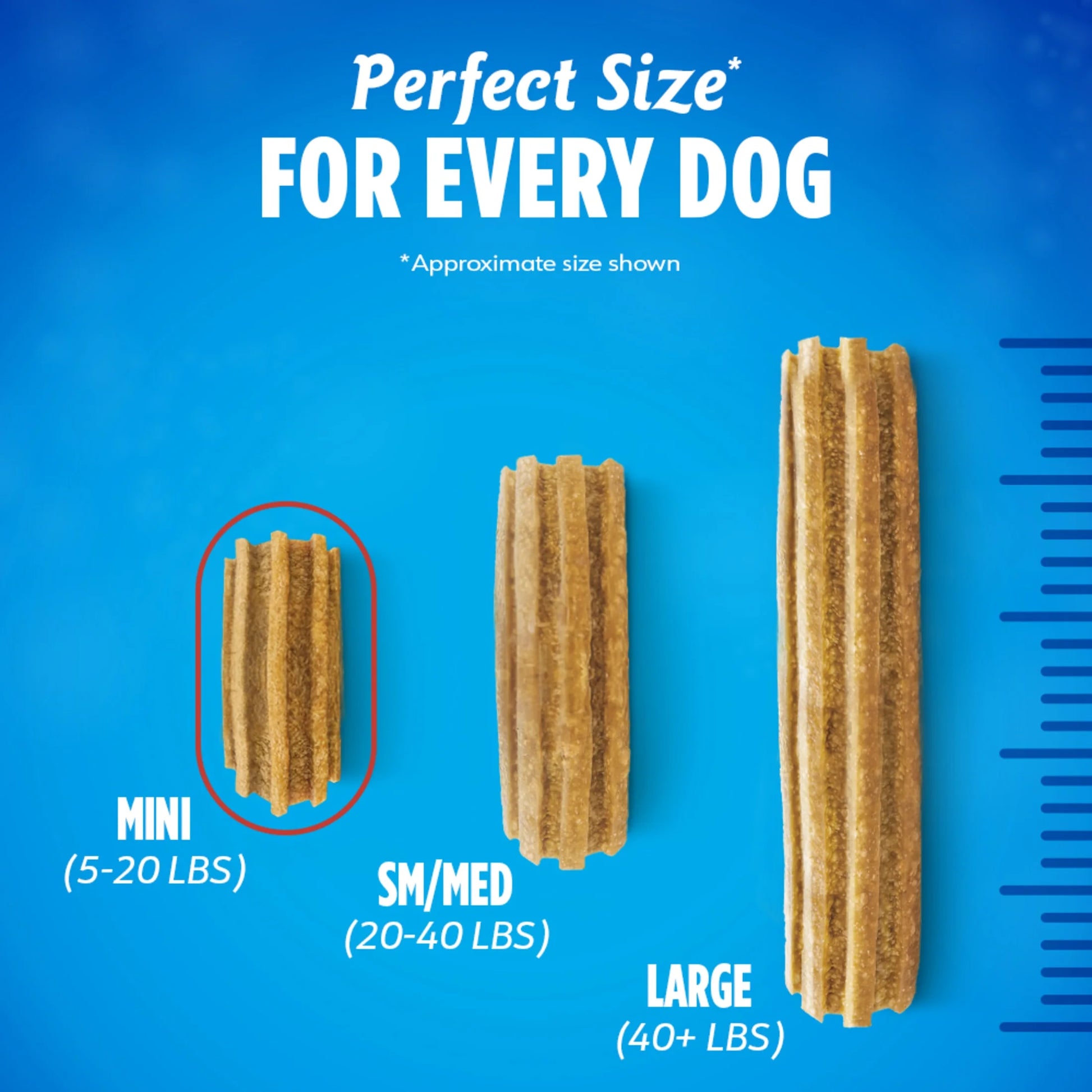 Purina  Daily Oral Care Mini & Toy Dog Treats with Chicken Chews, 6.8 Oz Pouches, 24 Count (4 Pack)
