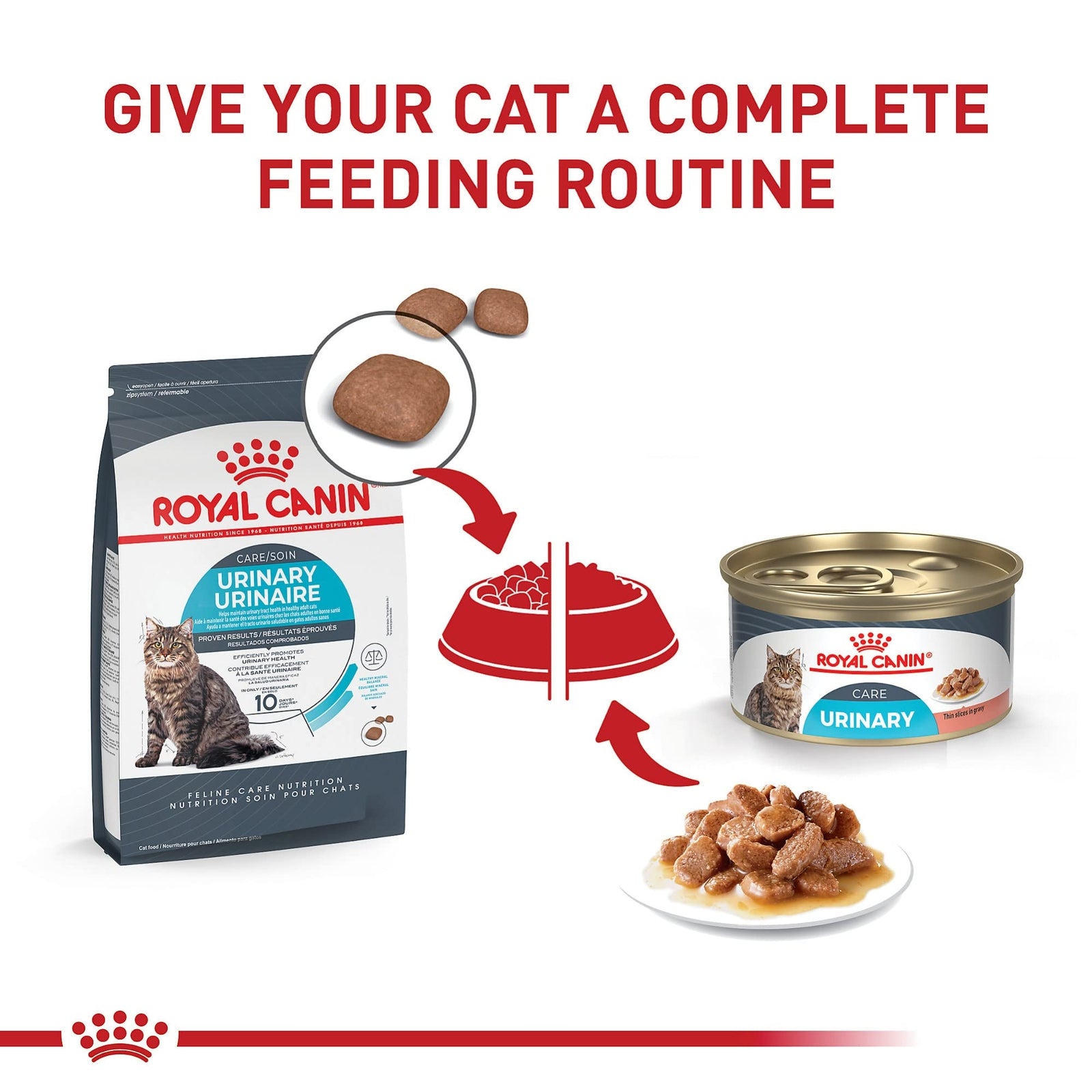 Royal Canin Feline Urinary Care Adult Wet Cat Food 3 Ounce Pack of 6