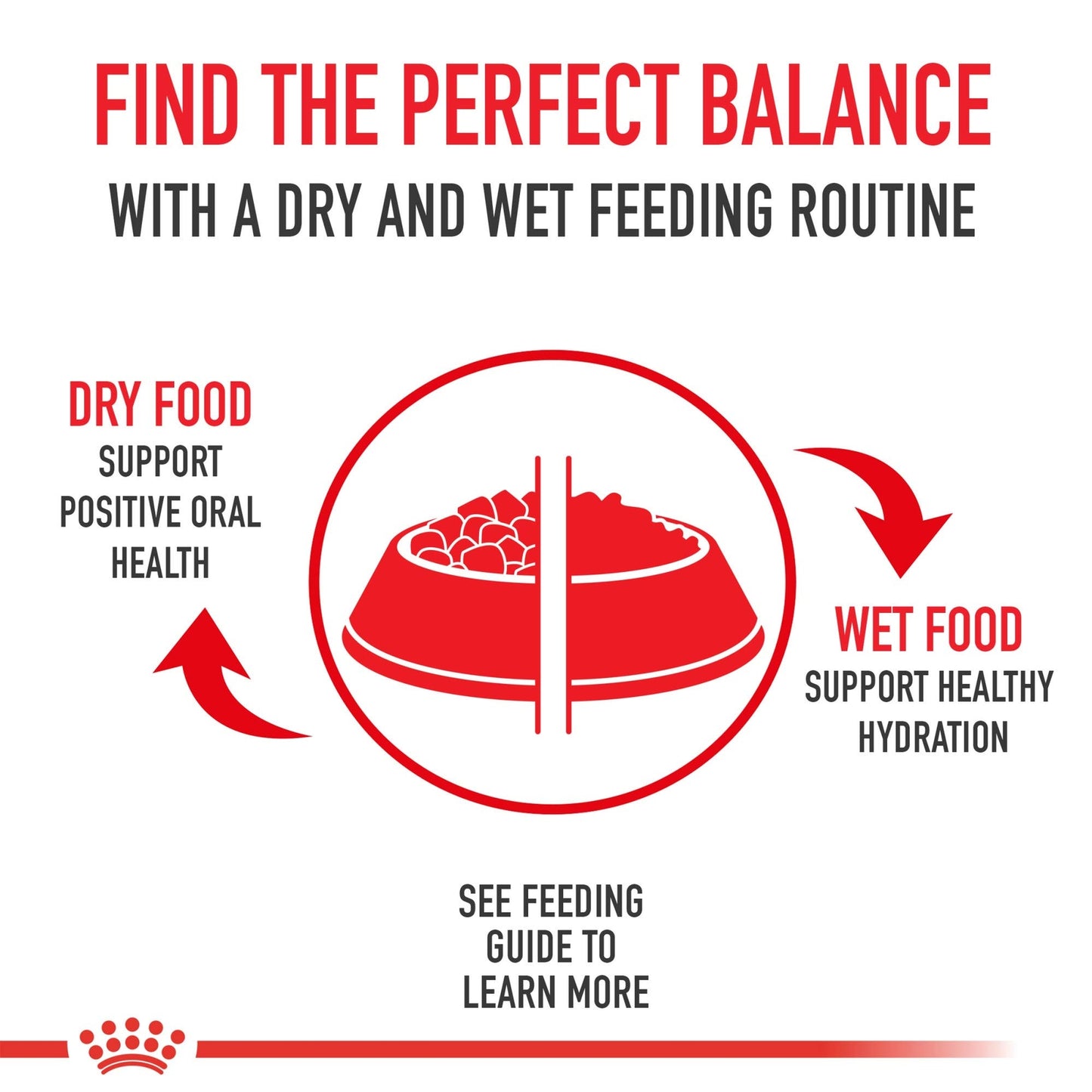 Royal Canin Bulldog Adult Dry Dog Food 30 Pound Pack Breed Specific Nutrition
