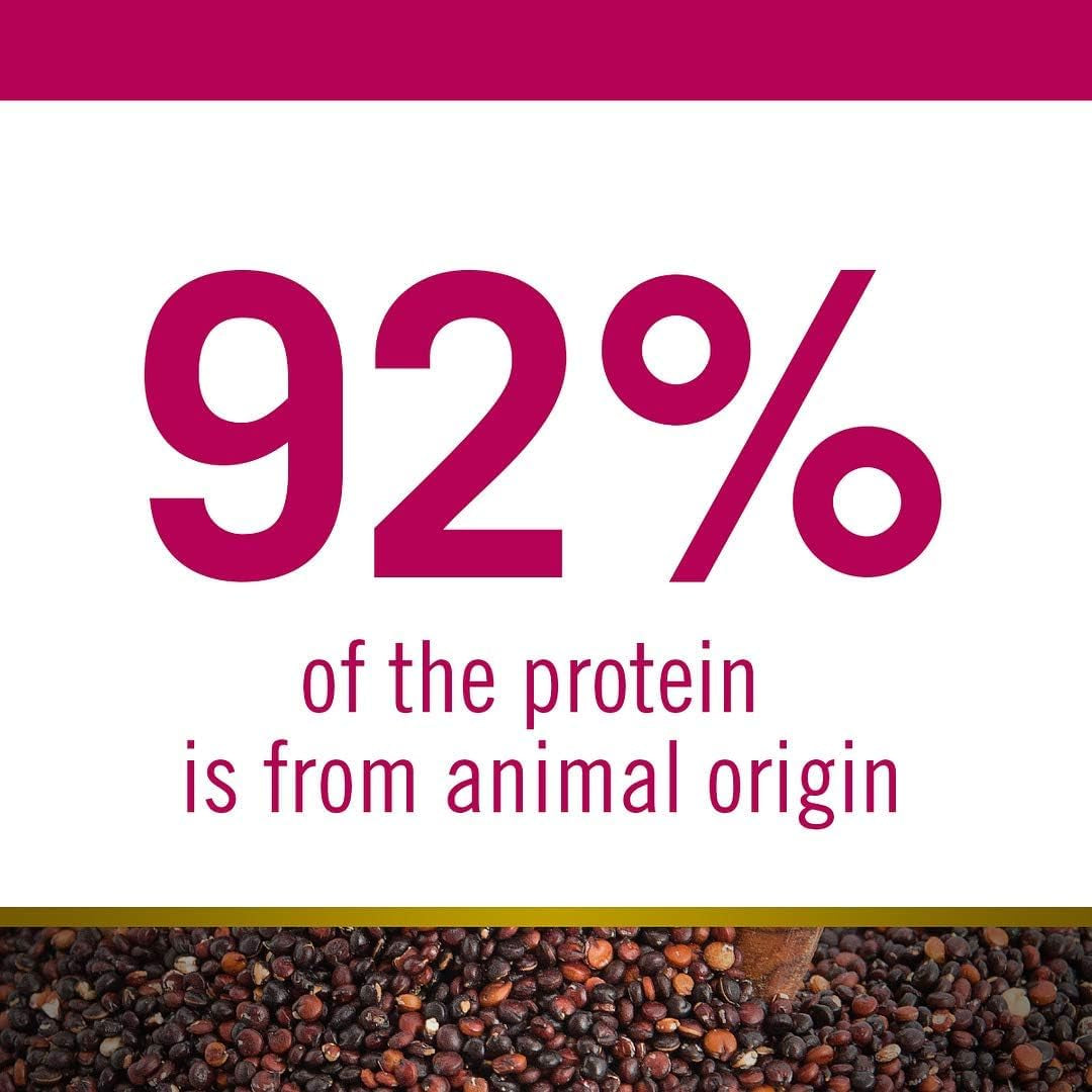 Farmina N&D, Quinoa Digestion Lamb Quinoa Fennel and Mint Recipe Dry Cat Food, 3