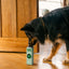 Leak-Proof Dog Poop Bags, Lavender, 100 Count on 5 Single Refill Rolls