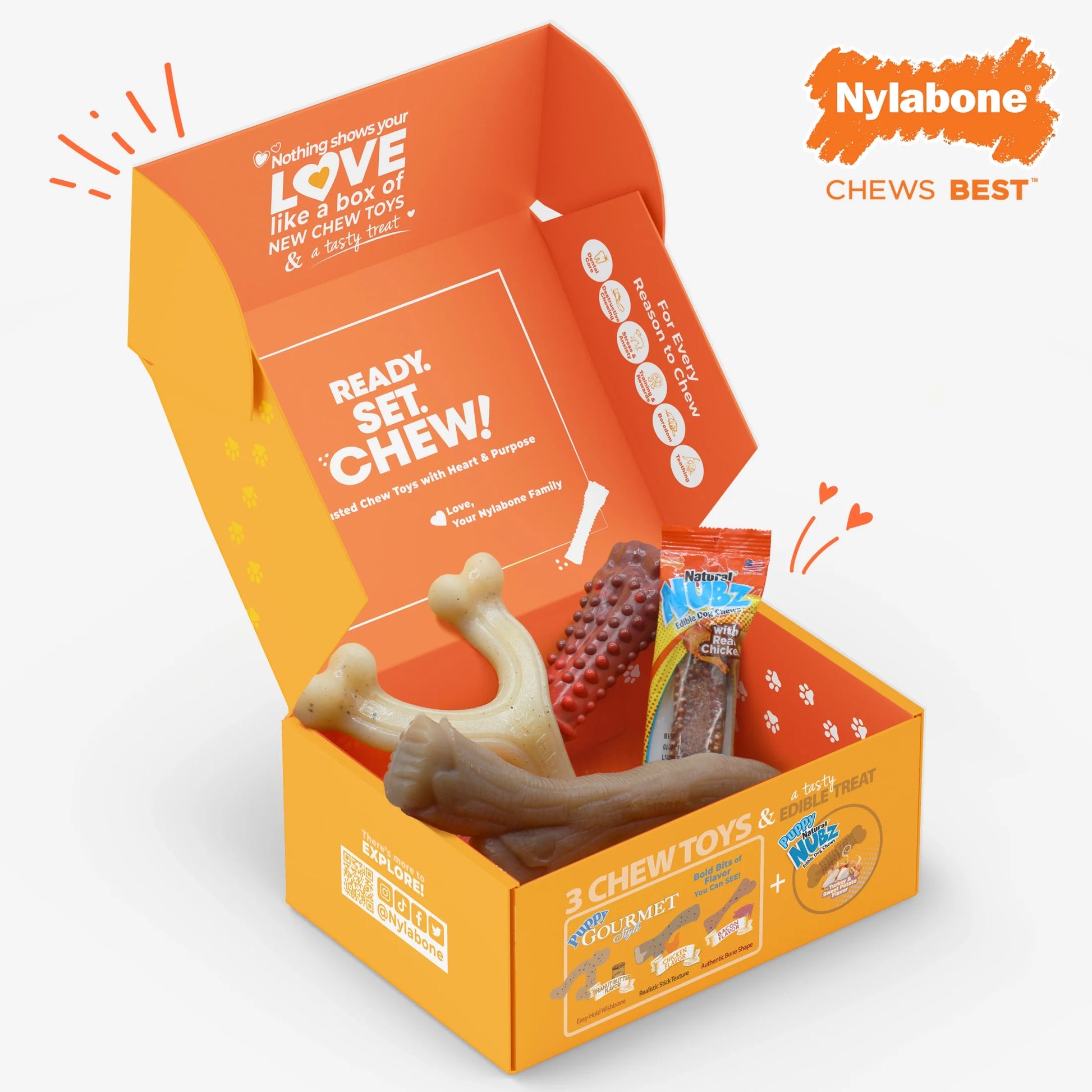the Box - Chew Toys & Treat Dog Gift Box Variety Large (4 Count)